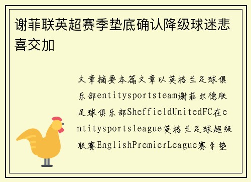 谢菲联英超赛季垫底确认降级球迷悲喜交加