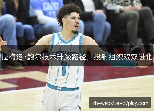 拉梅洛·鲍尔技术升级路径,投射组织双双进化 拉梅洛·鲍尔技术升级路径,投射组织双双进化